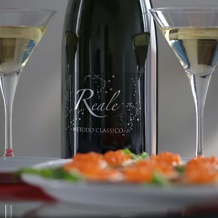 Notte Stellata 招待所 萨维利亚诺