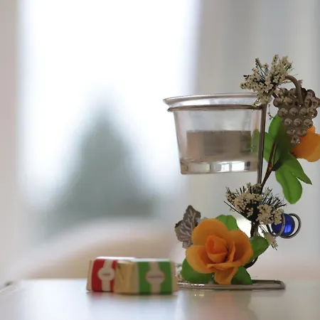 Notte Stellata 萨维利亚诺